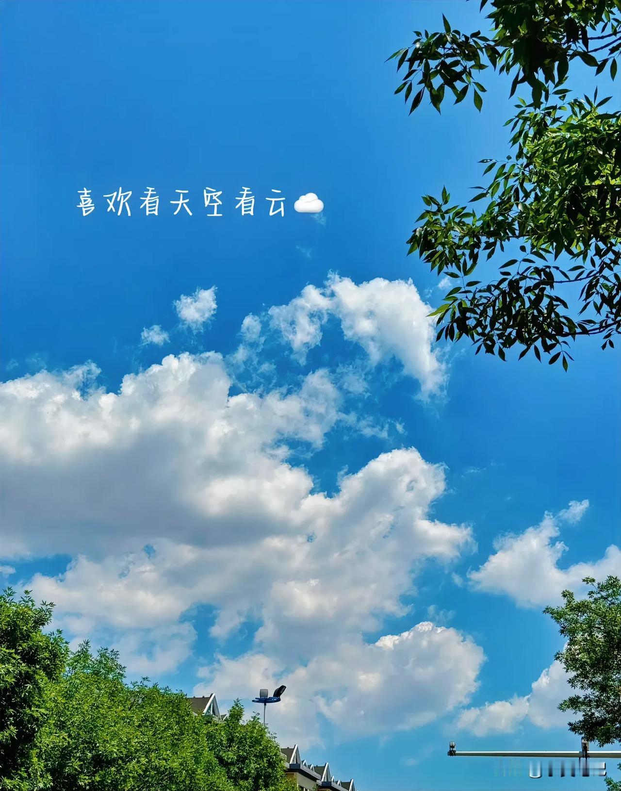 #夏日随手拍#
日子慢慢向前，事情慢慢变好，
平凡的日子，也有细碎的美好。