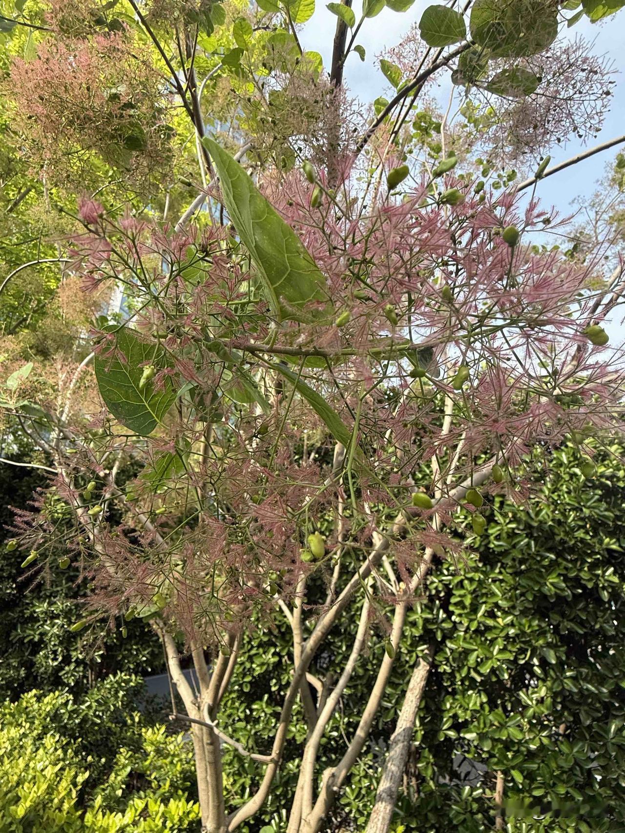 【小对联】
上：三角眼；
下：……？