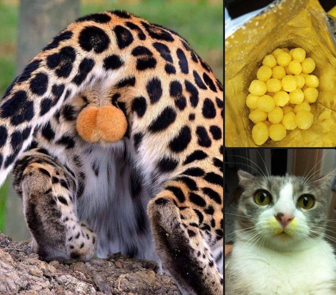 ​ ​​​