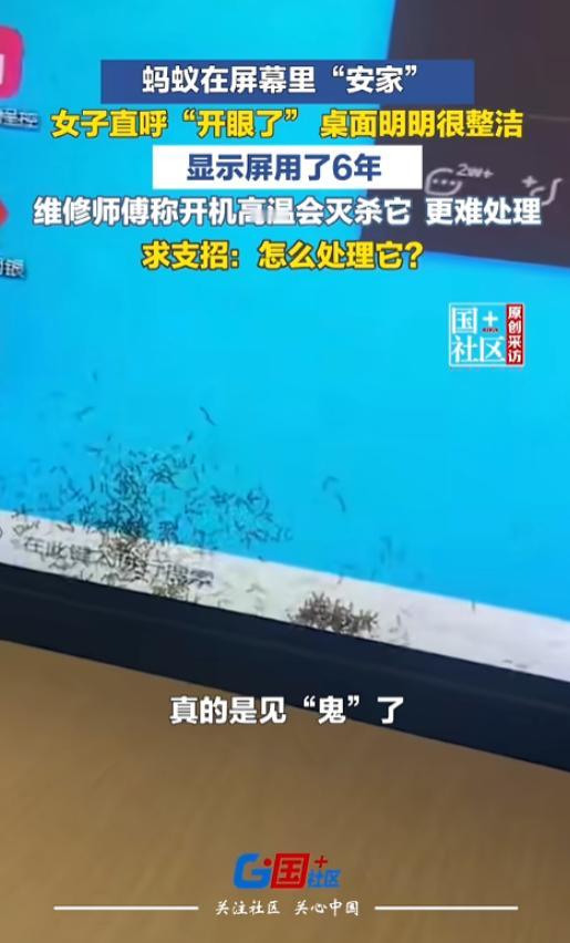 “真动态屏保！”7月21日，云南临沧，一女子上班打开电脑，突然发现显示器里钻进去