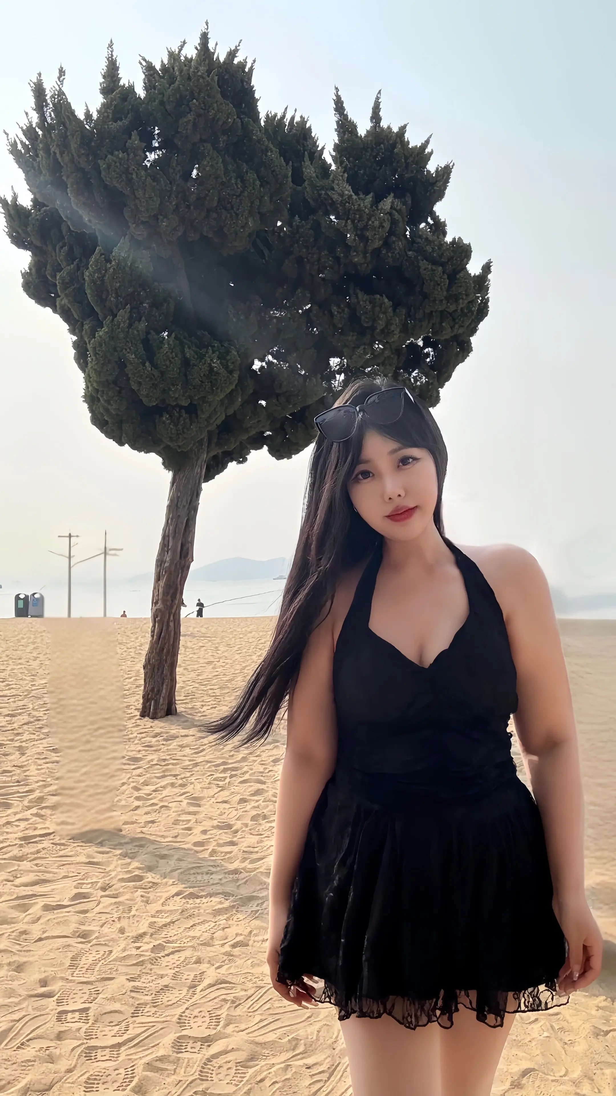 可以是木讷的树 也可以是自由的风.