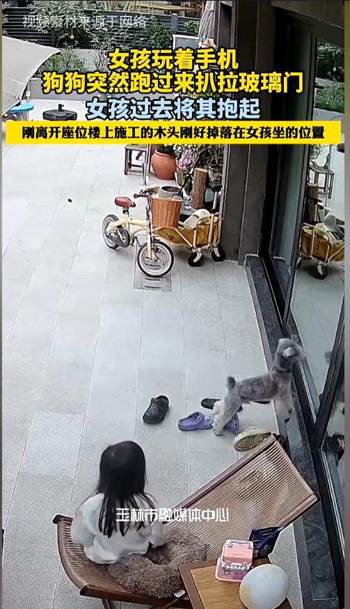 “万万没想到！”3月2日，重庆，一女孩正坐在门前玩手机，家里的养的狗狗突然跑过来
