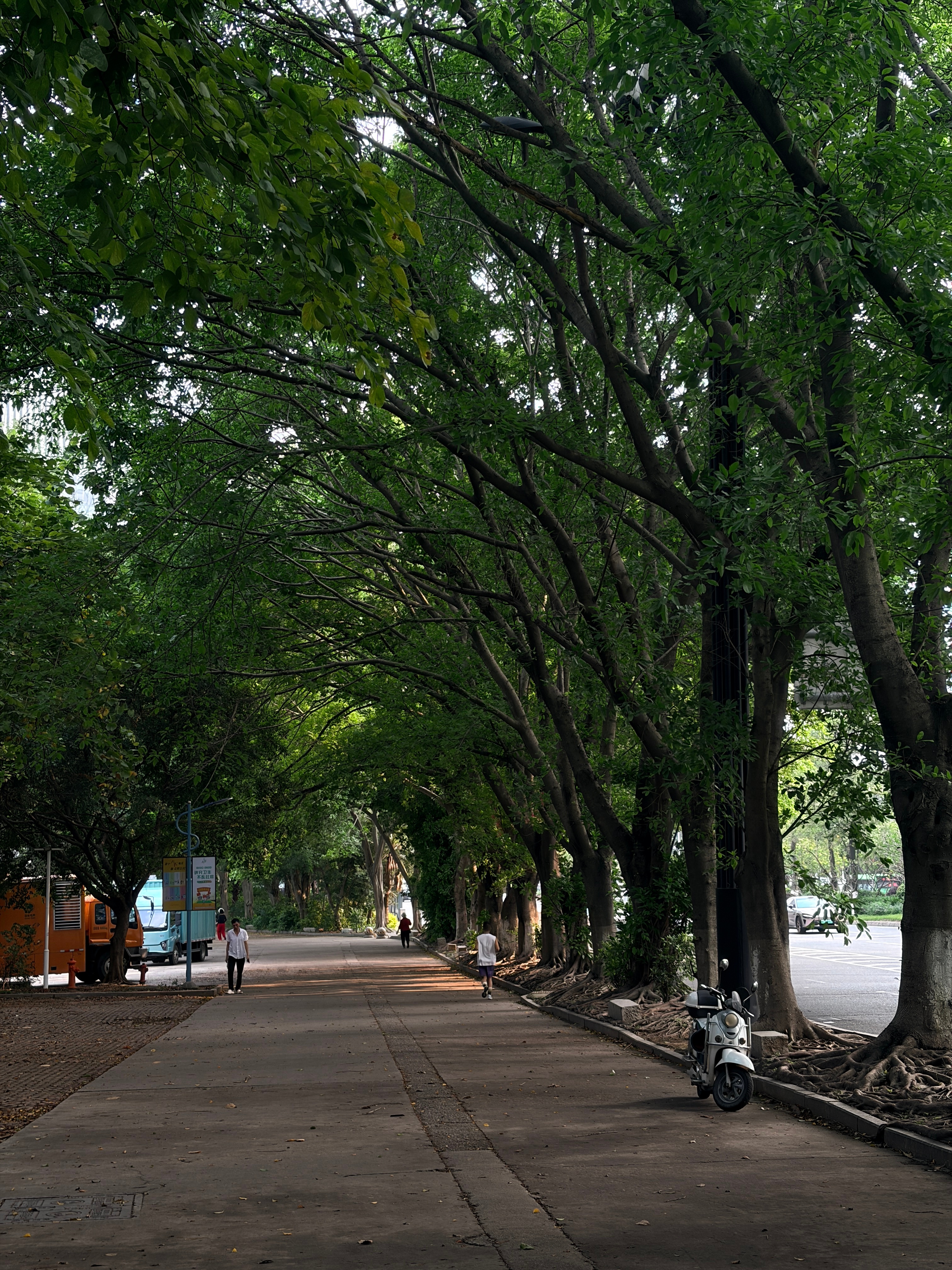 最近都在林茵下跑步🏃心情好好👍天气好好，感觉生命在生长，我也在生长 