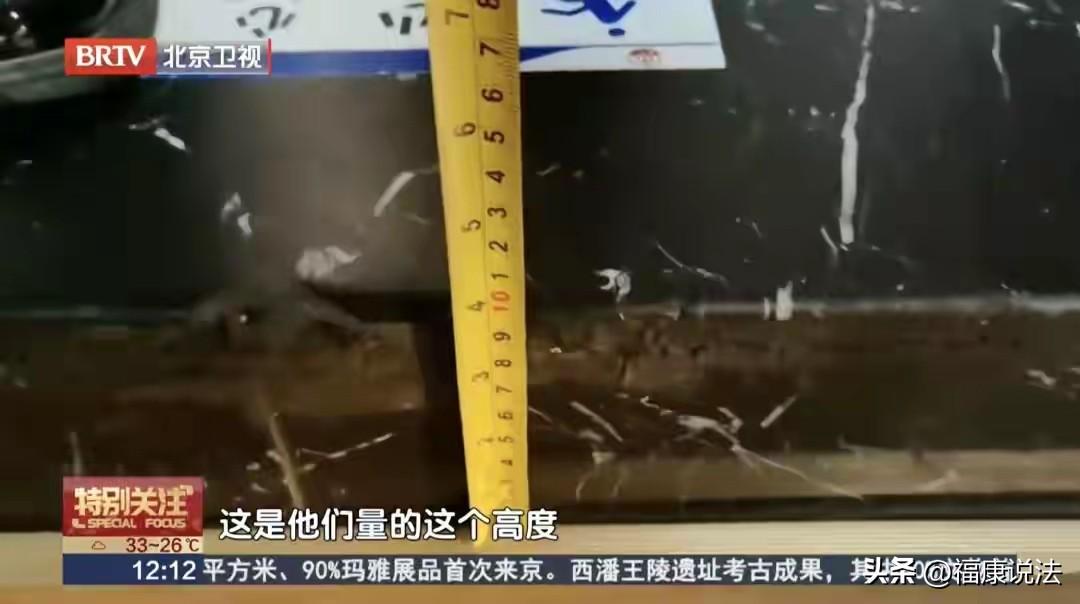 “讹出新高度？”北京，女子和亲戚去饭店吃饭，经过包间门口，踩空10厘米台阶摔伤。