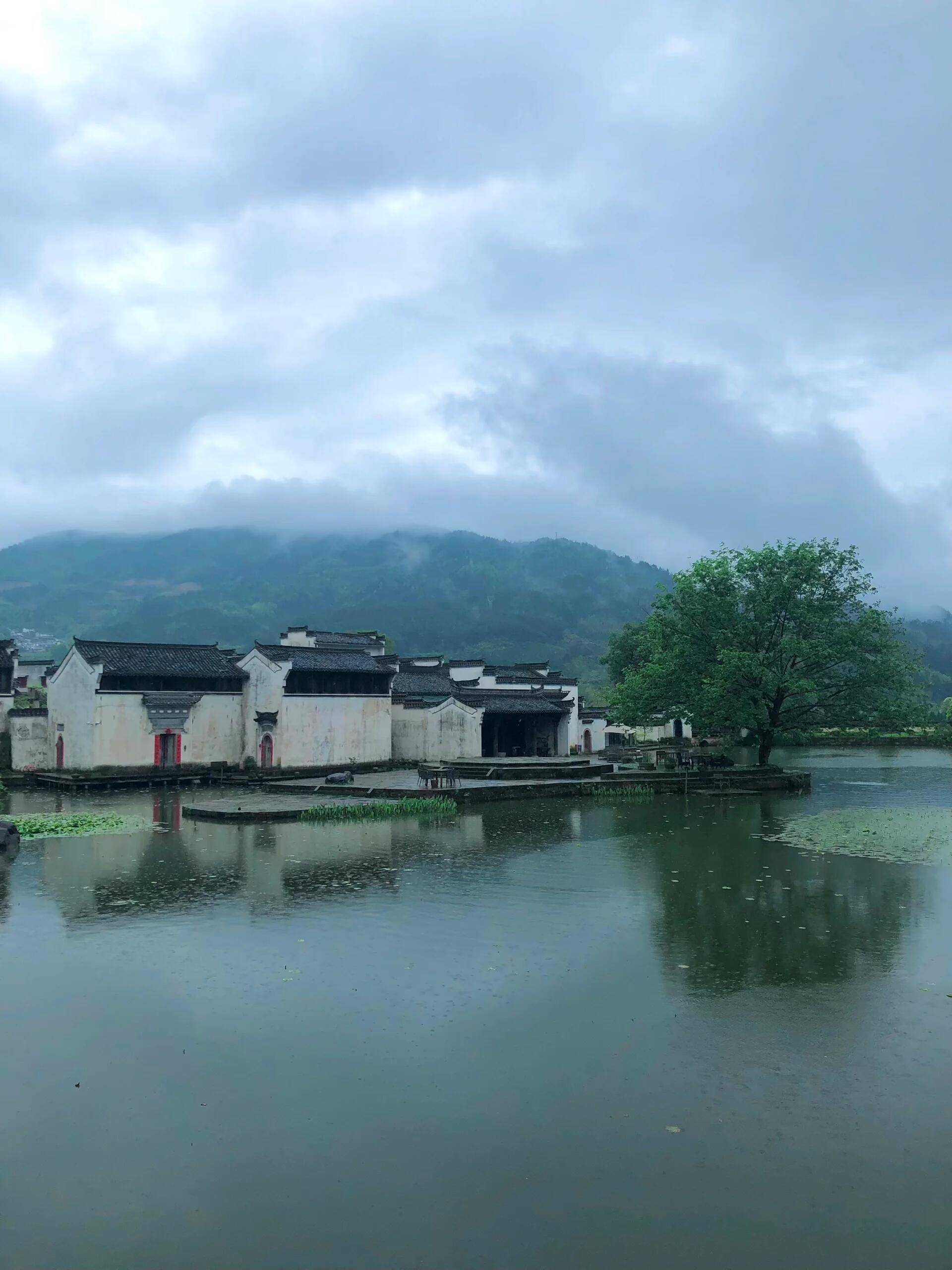 你说梅雨真烦，我说烟雨江南🌧️人人嫌梅雨缠绵扰人，我独爱这烟雨裹住的江南。不必