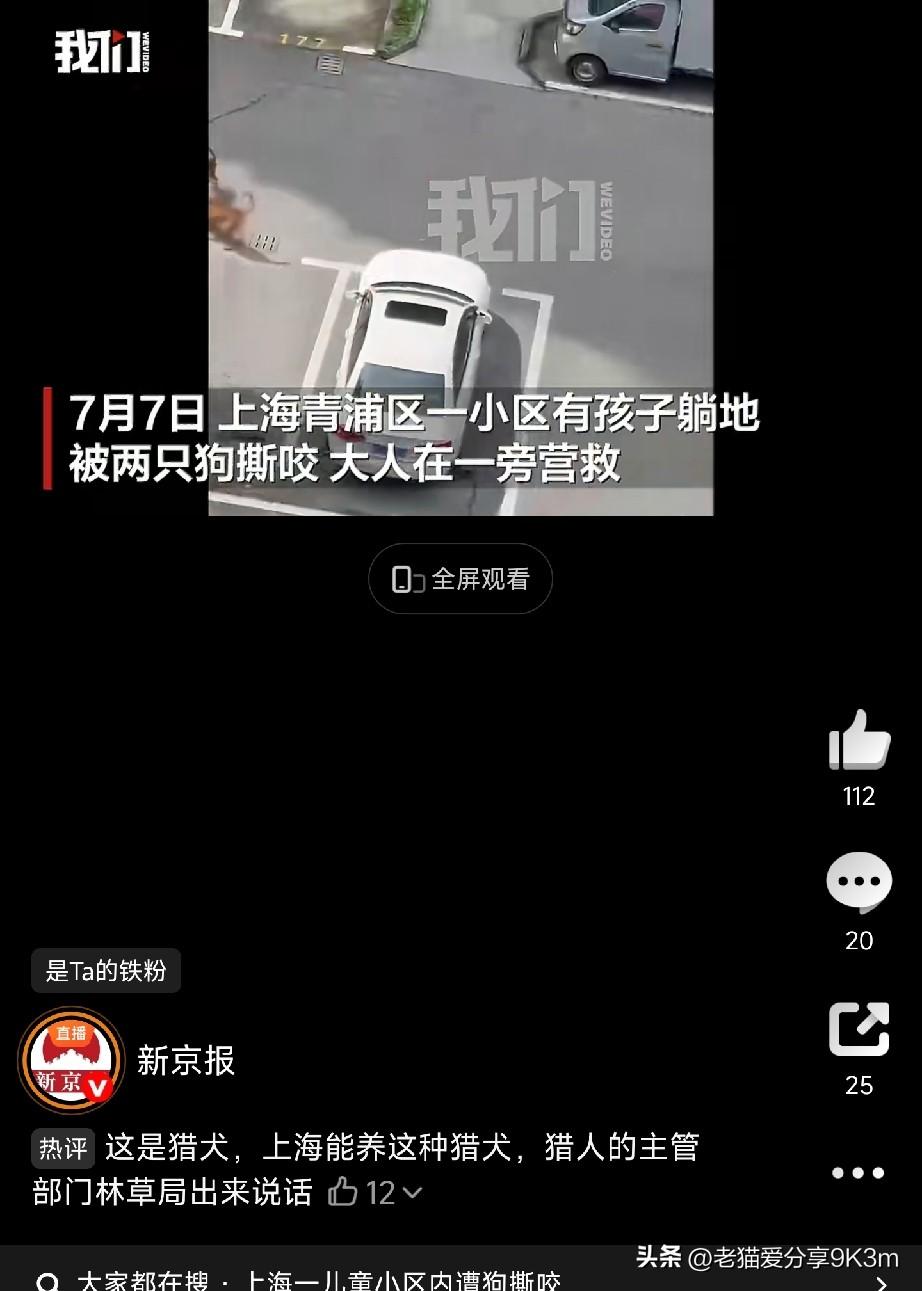不牵绳的狗太可怕了！

7月7号，上海青浦一个小区里，两只狗撕咬一个孩子，家长趴