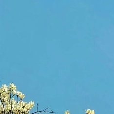 种植  微公益 西瓜的种植方法：一、茬口与整地施肥1. 地块：首选沙壤土、地势高
