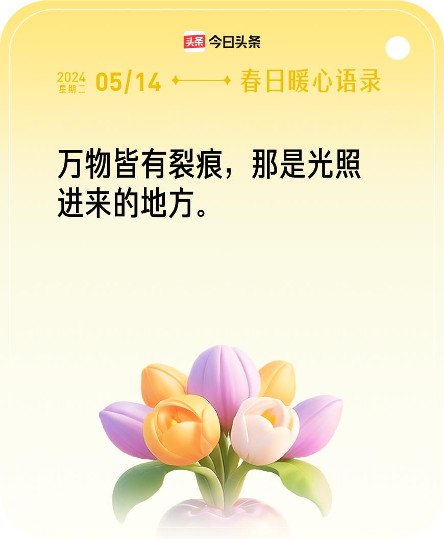 今日暖心语录我抽到的暖心语录为：万物皆有裂痕，那是光照进来的地方。🔗戳这里👉