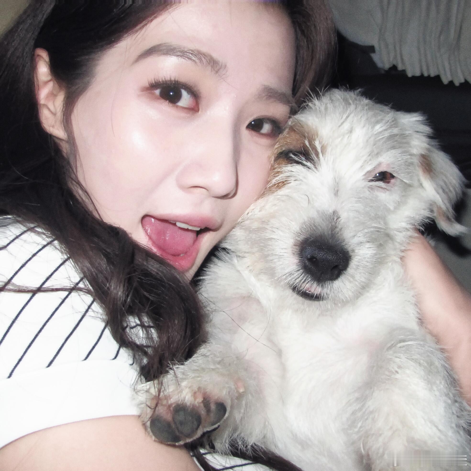 卢昱晓小狗头像麻麻的拍照好搭子！卢昱晓｜ 