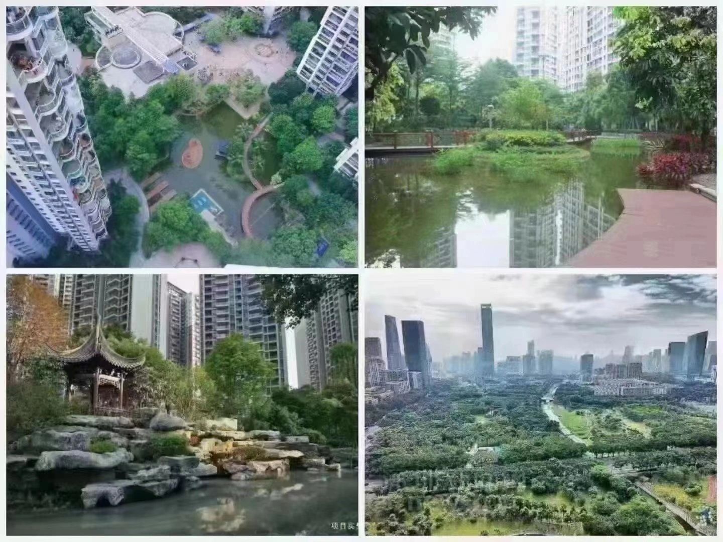 【海馨苑】华强北&百花 商圈
🌴 园林湖景，11栋大社区
🤩 111平3房，...