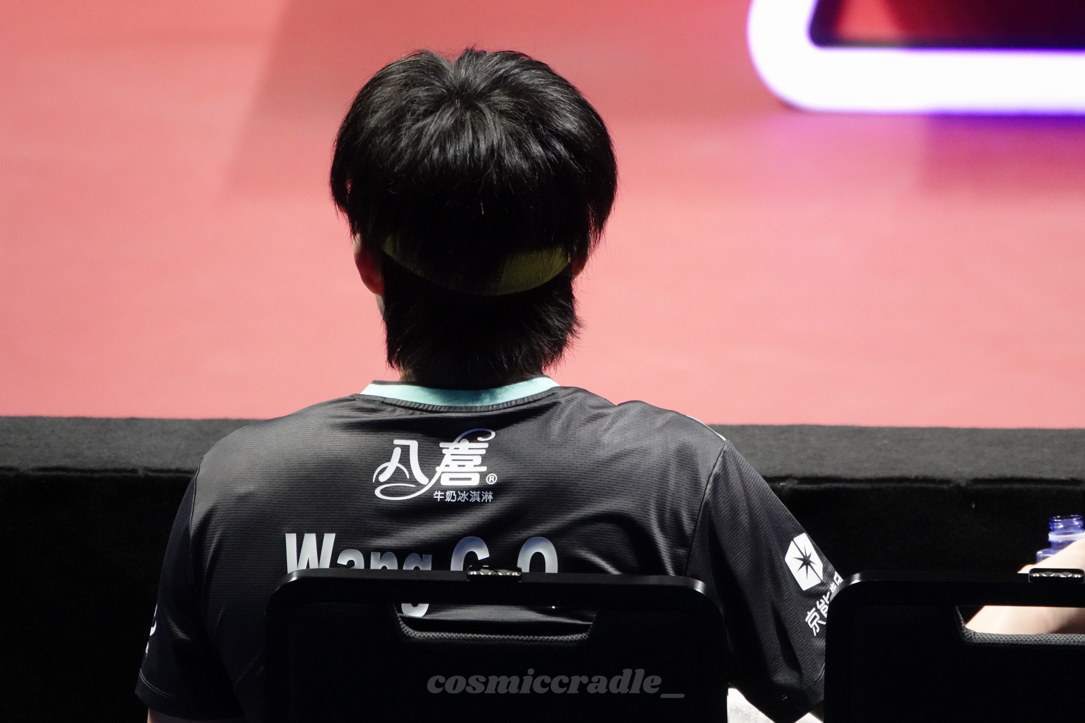 圆圆的脑袋，发量王者🪄摸摸小狗头🫳头头辛苦啦🤲要一直健康哟🫶