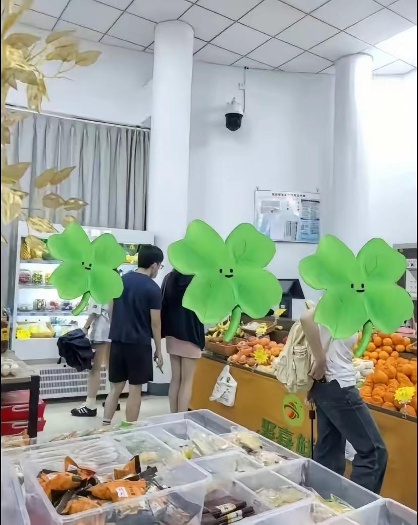 顾某佳肯定要为自己的行为付出终身的代价，可以说一辈子都完了。被开除学籍也就没有了