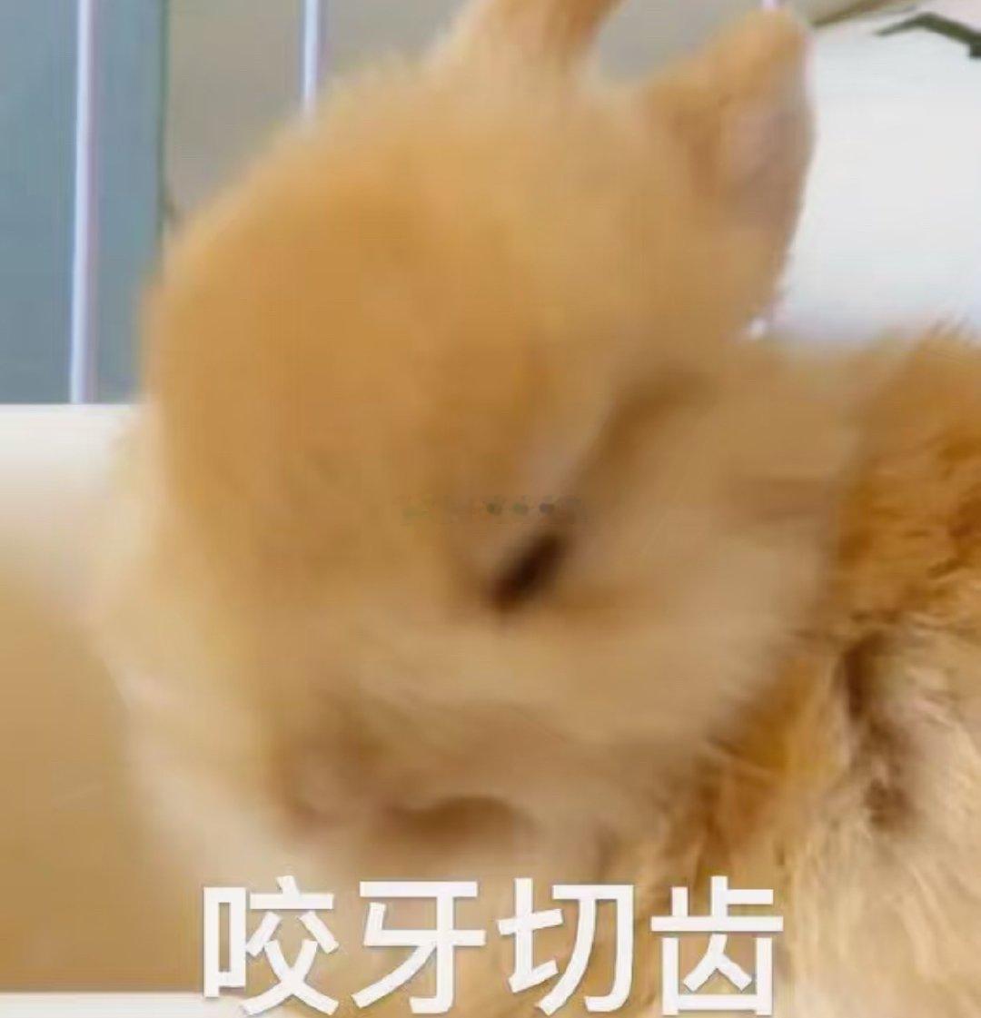 🐺上辈子真的是狼吧！昨天挨着挨着就开始咬我的屁股！一边咬一边还说喃喃自语“这白