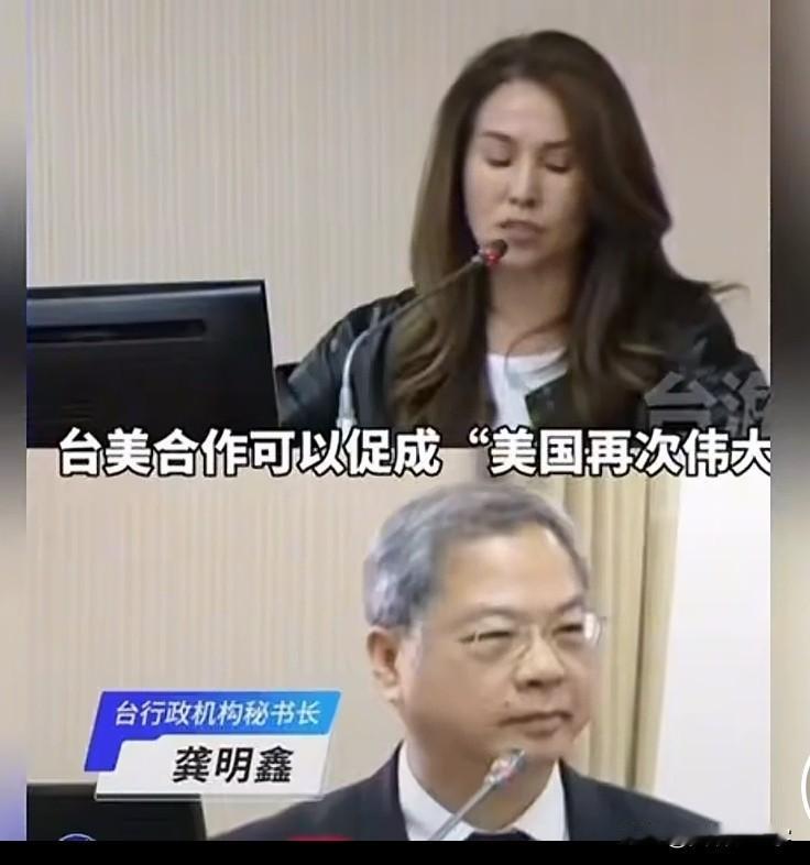 据岛内媒体报道，高金素梅日前在台“立法院”质问秘书长龚明鑫，民进党凭什么拿台湾人