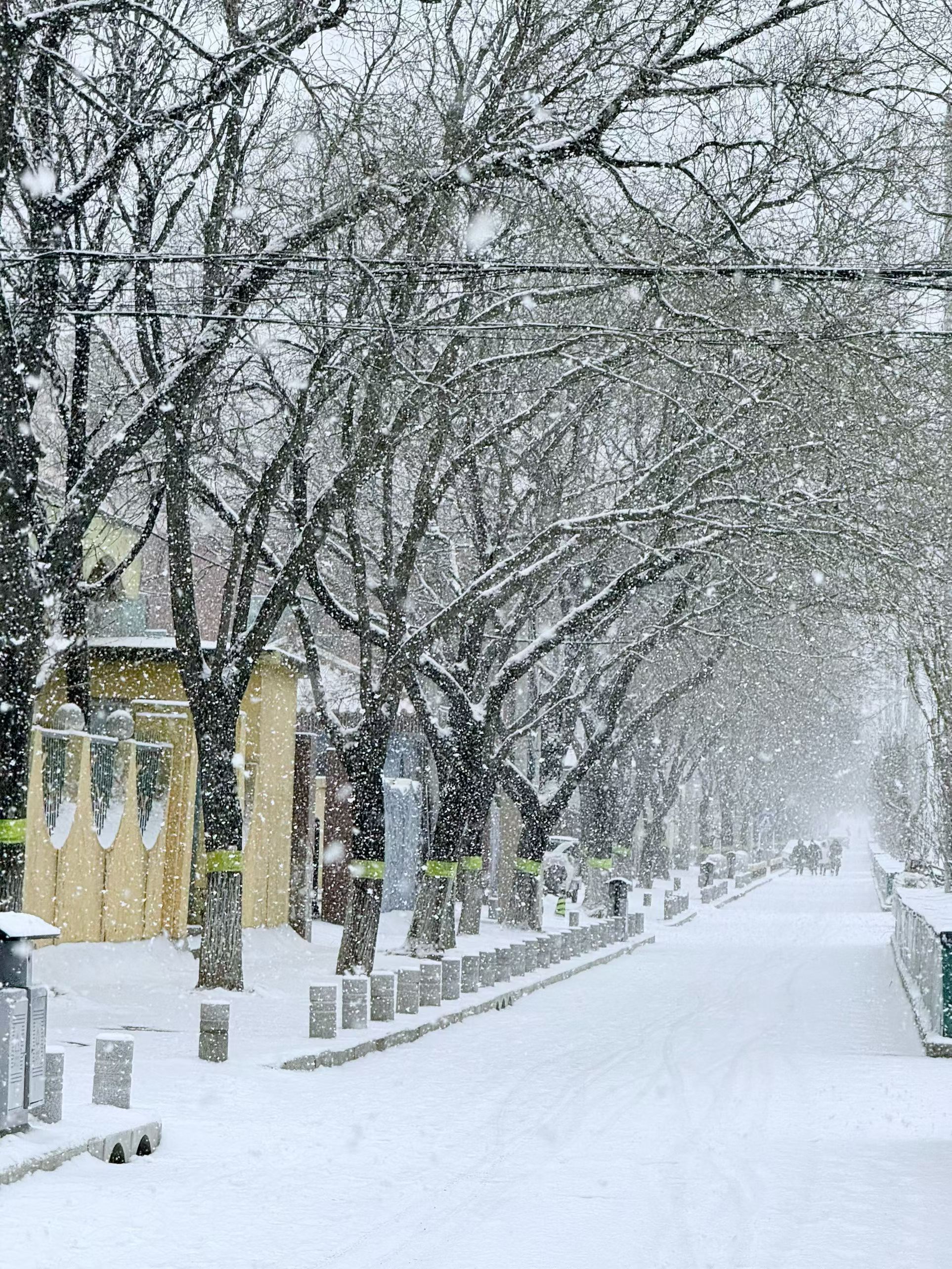 今天的大雪，是感叹雪景的美，还是担心明天上班上学的难呢？ 