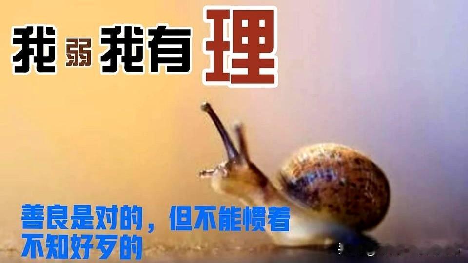 盲人进博物馆离开导盲犬不行？

一条导盲犬的价格20多万吧，社会捐赠也不是随意捐