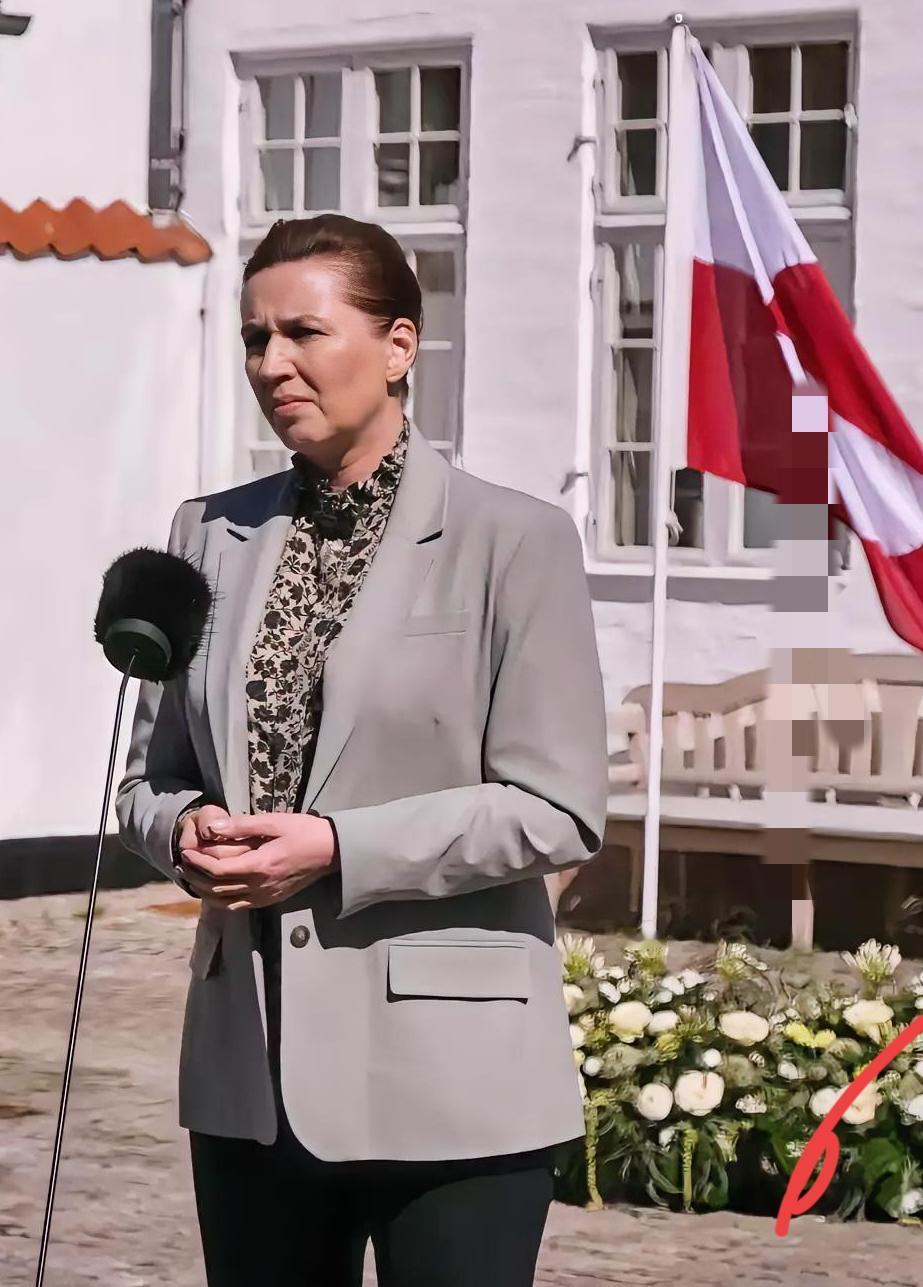 终于回过味儿来了。
之前看丹麦那位女首相，疯了一样咬着东方大国不放，我还纳闷，多