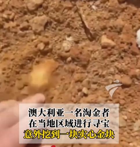 “挖到宝了！”10月28日报道，澳大利亚，一男子是业余探矿者，当时他在一处牧场探