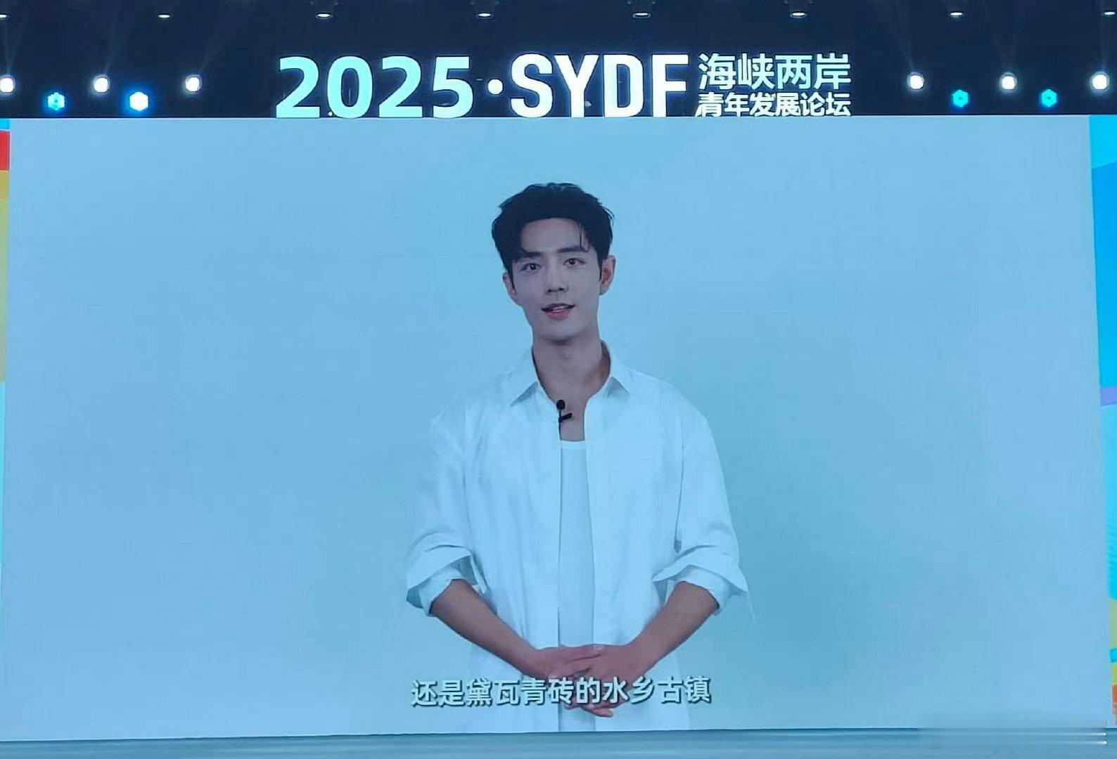 肖战2025海峡两岸青年发展论坛VCR 肖战2025海峡两岸青年发展论坛VCR，