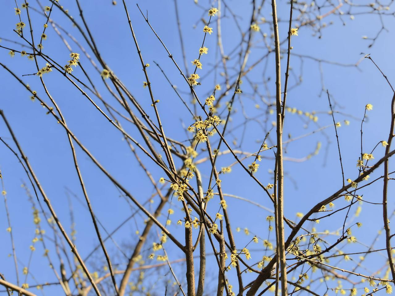 生命的长度，足以稀释错误的浓度，也足以抹掉成功的高度。活在当下，忘掉昨天，过好今