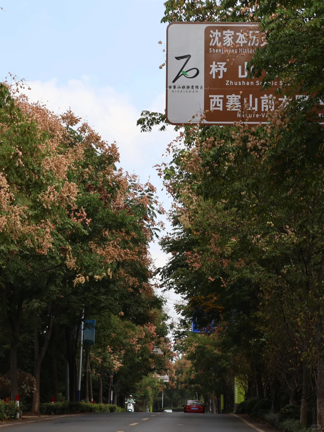 西塞山｜妙新线，栾树花开🌷🌈