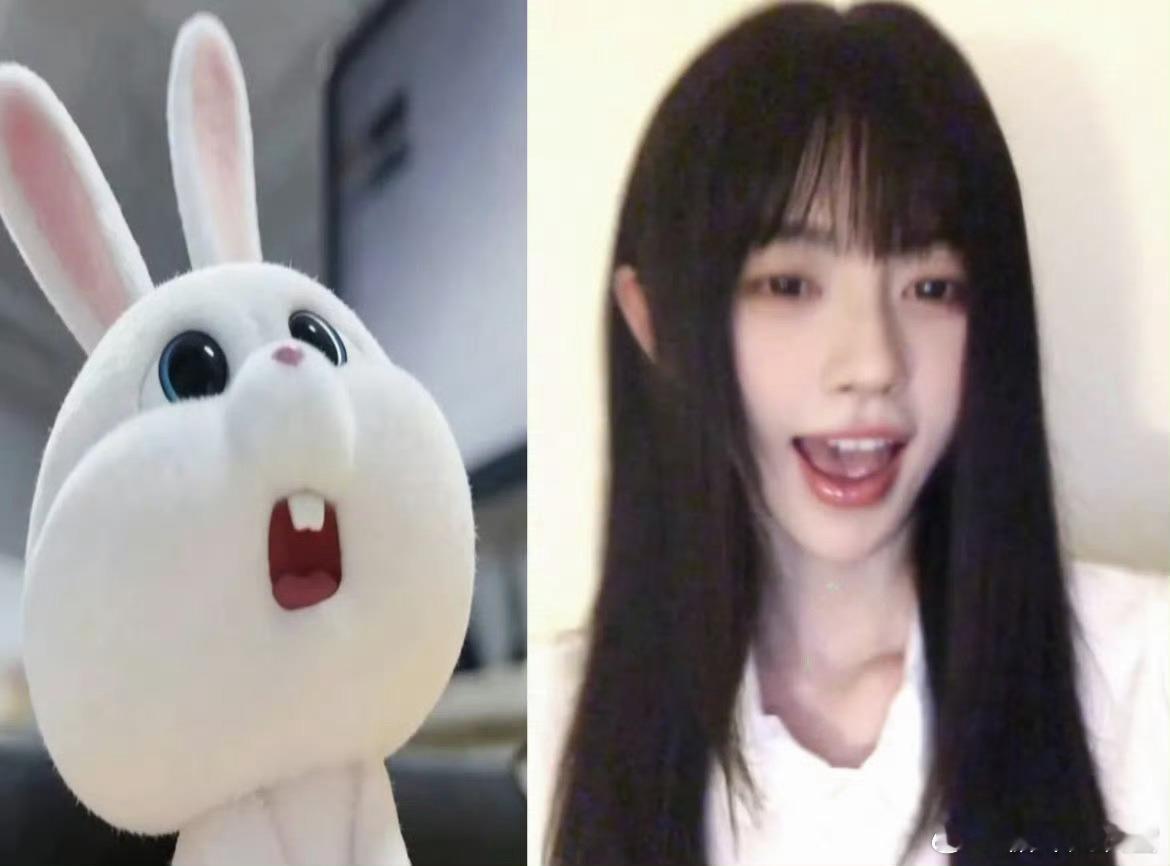 鞠婧祎的舞被韩国女团跳了姐姐们都很萌呀 