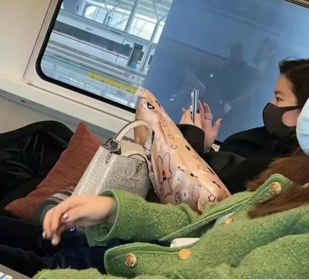 高铁上的刘亦菲，静静的坐在那里就很美，侧颜真是无敌 ​​​