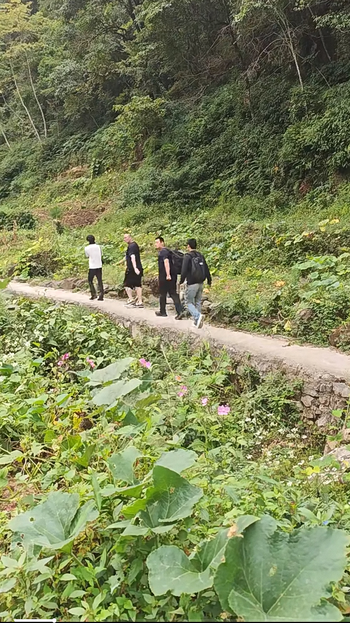 清冷独立摄影师和三个挖洋芋的 ​​​