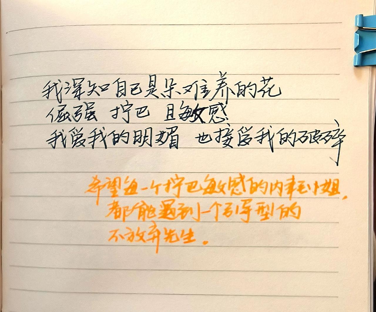我的摘抄本 写在本子的文案 文字控的小世界 文字控的日常 手写笔记的独白