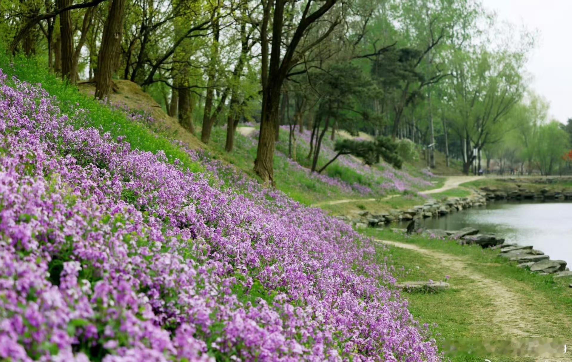 人一生中难离舍的东西很多。真正的生死不全是指生命的死亡。破产钱没了，有没有死的感