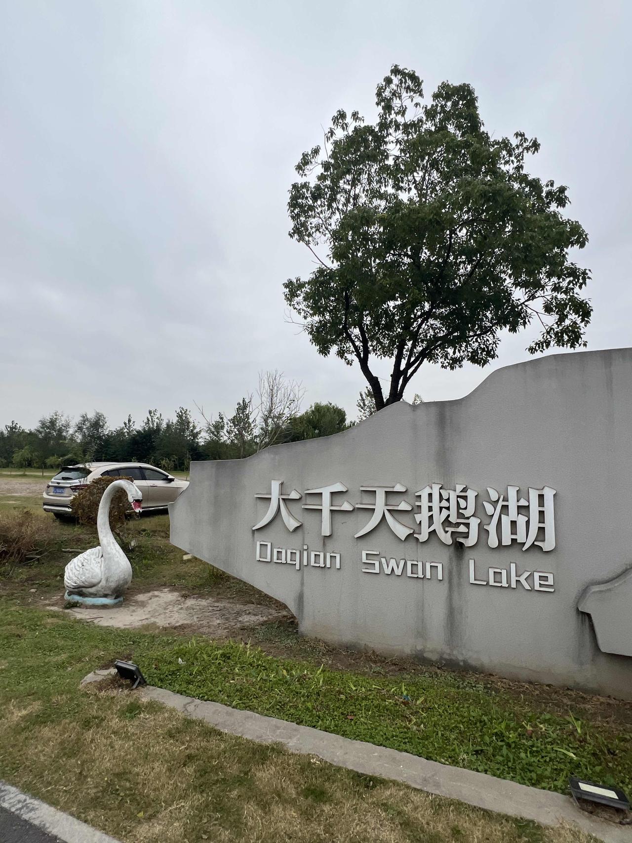 天鹅公园
来青浦的大千天鹅湖庄园玩，从市区开车过来差不多要一个小时，还是有点距离