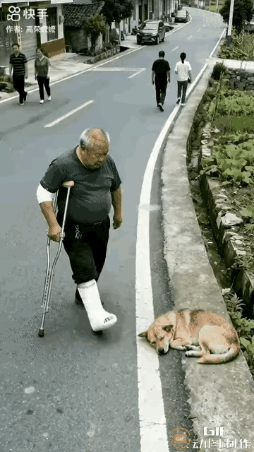 真的让人无语，

一位老人拄着拐杖在外散步，路边一只小狗安安静静趴着睡觉，明明互
