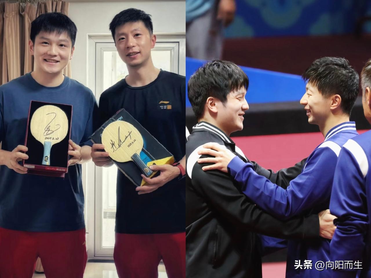 球迷总爱争论马龙和樊振东谁更强。
马龙技术全面细腻，
大赛经验无人能及，
双圈大