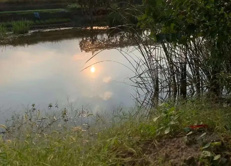 镇子里那间土坯房，我至今记得那股味儿——黑黢黢的屋里混着潮气和脏污味，三个孩子挤