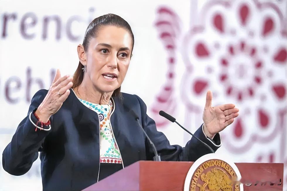 人善被人欺，马善被人骑。

这句话放在今天的国际贸易里，照样戳中要害。

202