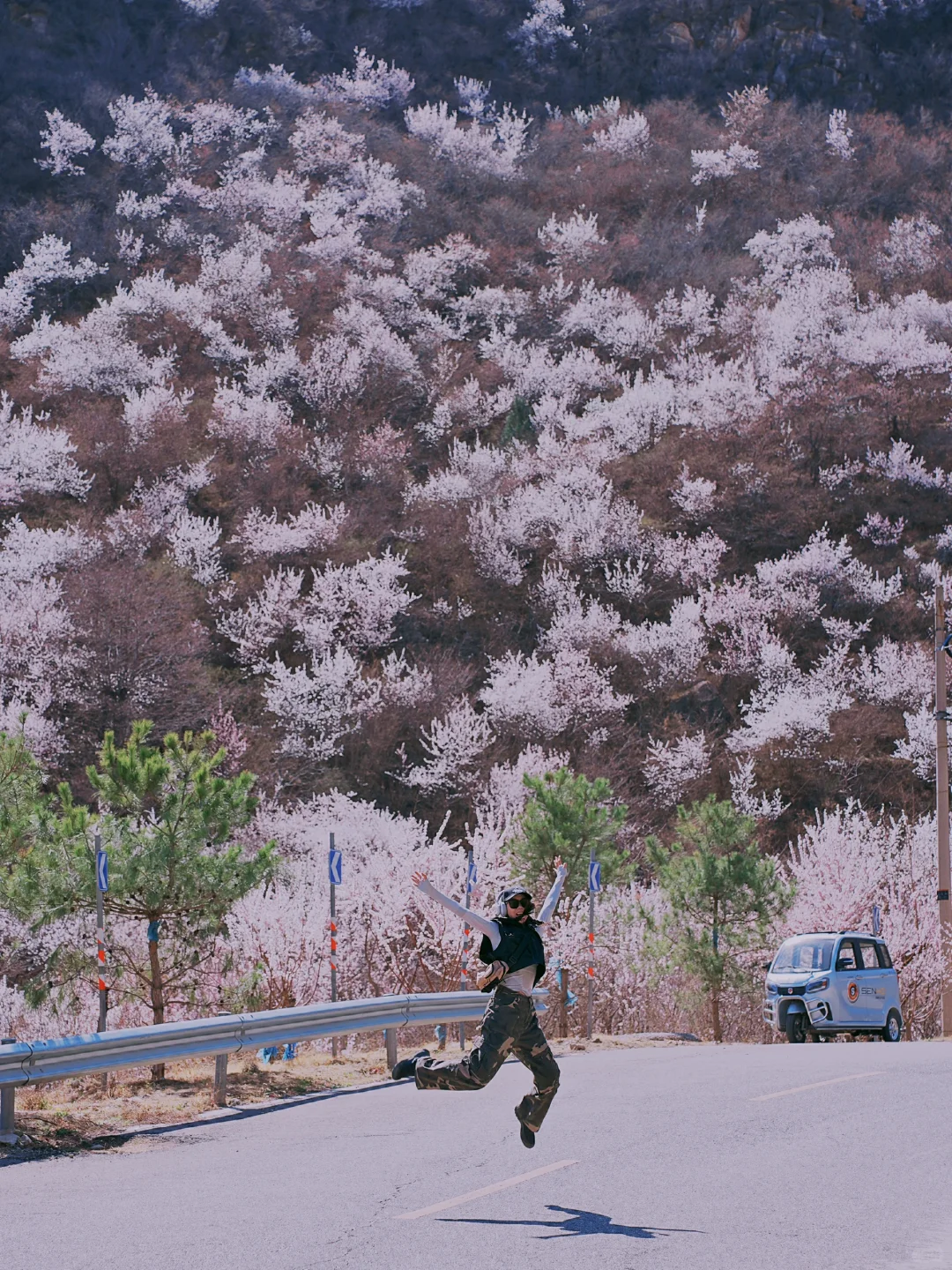 永远相信北京，桃花盛开的春天太让人兴奋了