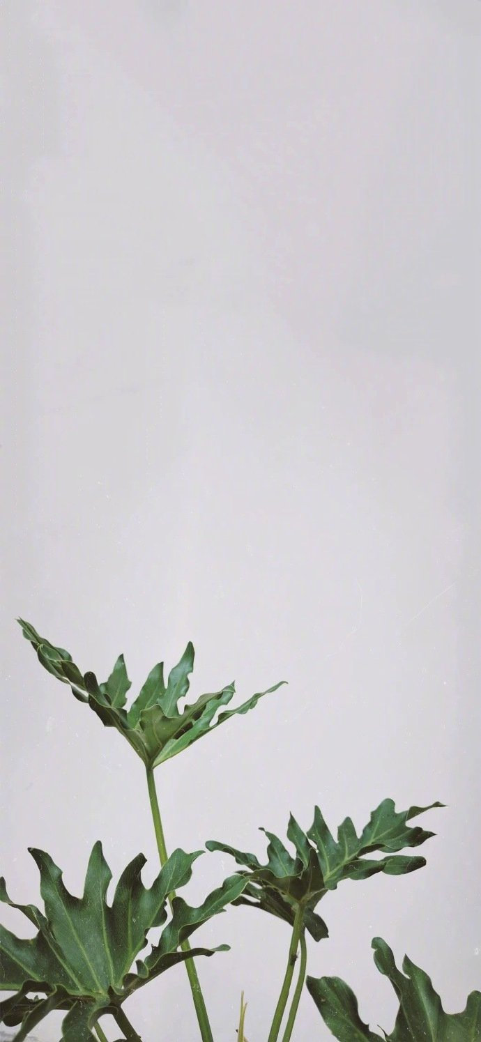 易怒的人都很敏感，敏感的人都很好强，好强的人都很固执，固执的人都很单纯 。  