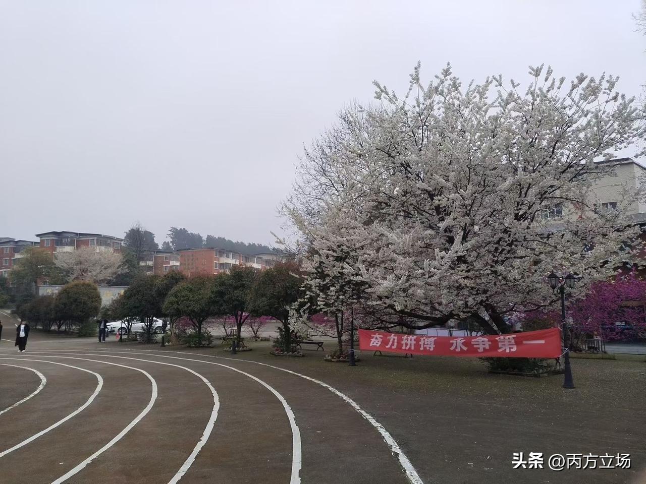 假如一个人混得很差，谁靠近自己都会倒霉，该怎么破局？先别想着靠谁，也别想着对谁好