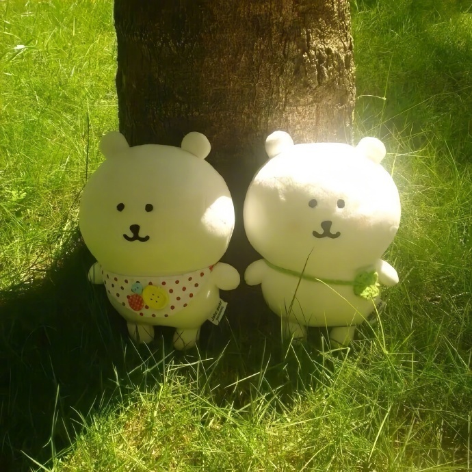 🌺𝐂𝐡𝐞𝐫𝐢𝐬𝐡 ☺︎ ⸝⸝꙳“有些人，遇见了就是赚到，分开了也