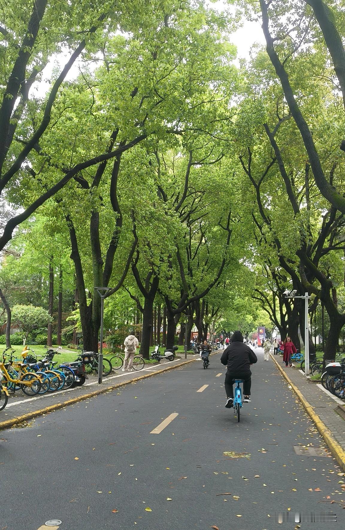 中外合作办学，
你真知道他的意义吗？
昨晚和高三家长聊天，
他说不要太焦虑，
但