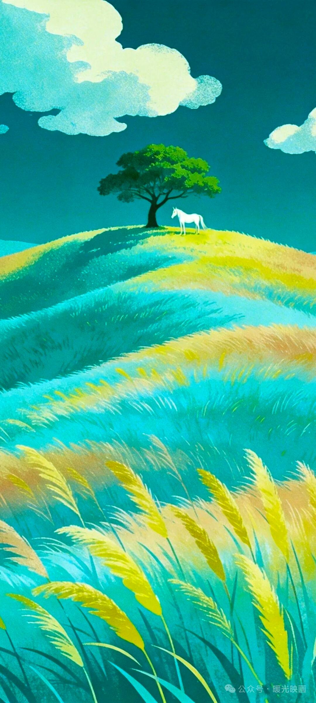 大自然美景，随手一拍