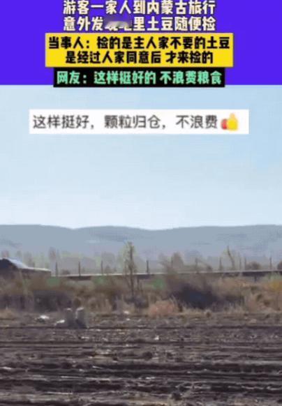 男子一家三口去内蒙古旅行，意外发现路边地里有很多土豆，竟然跑到地里捡土豆，主人家