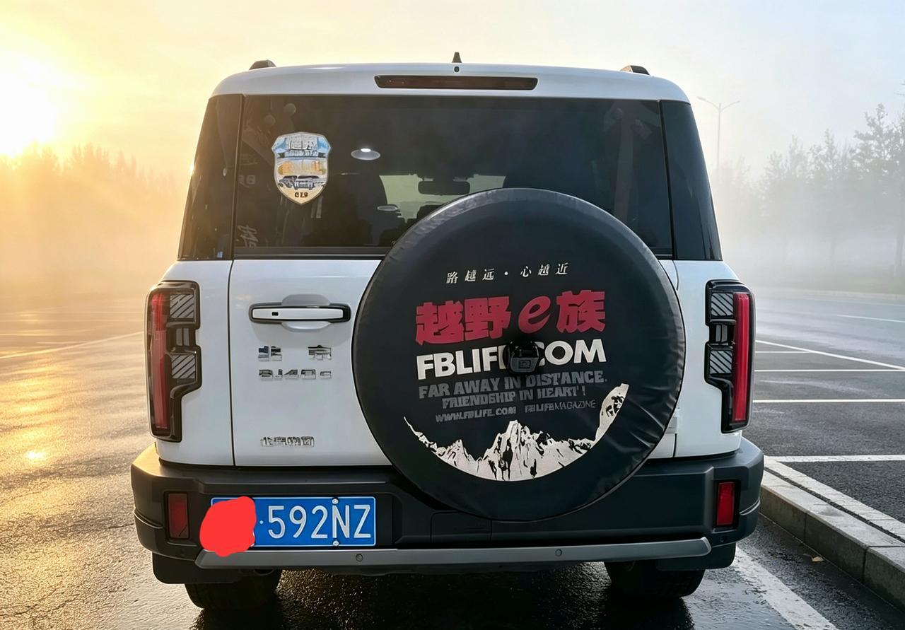 橡胶件的强度问题。油封容易漏油的问题。转向异响的问题。车轮跑偏的问题。系统卡顿的
