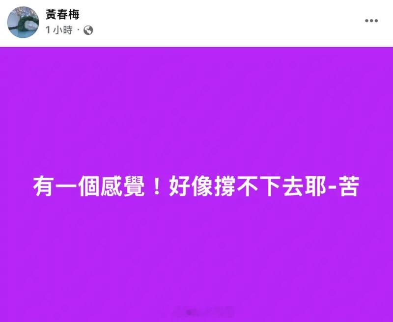 S妈凌晨发文好像撑不下去S妈深夜透过脸书发文崩溃求救：有一个感觉！好像撑不下去耶