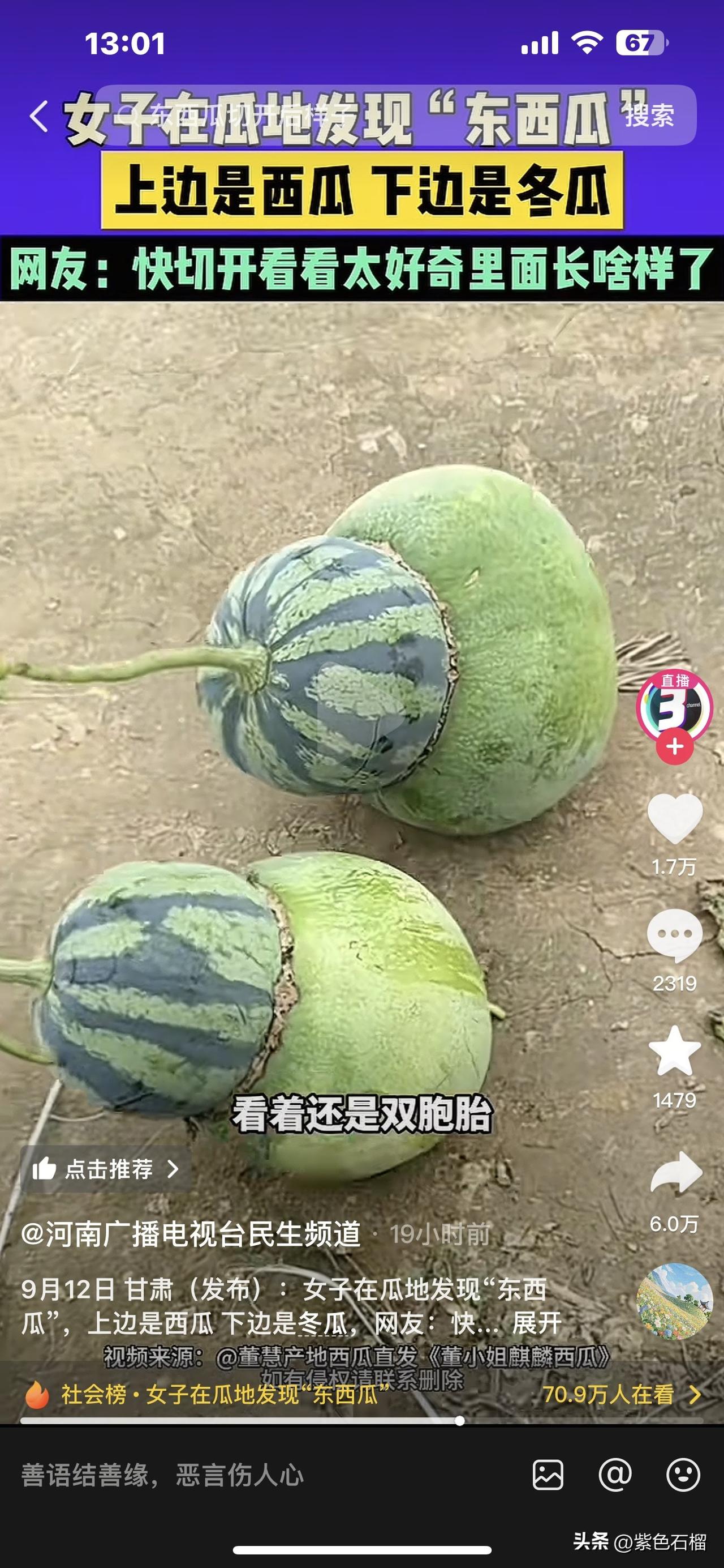 世界之大，无奇不有！甘肃一女子瓜地里竟结出“冬西瓜”。
        你看看这