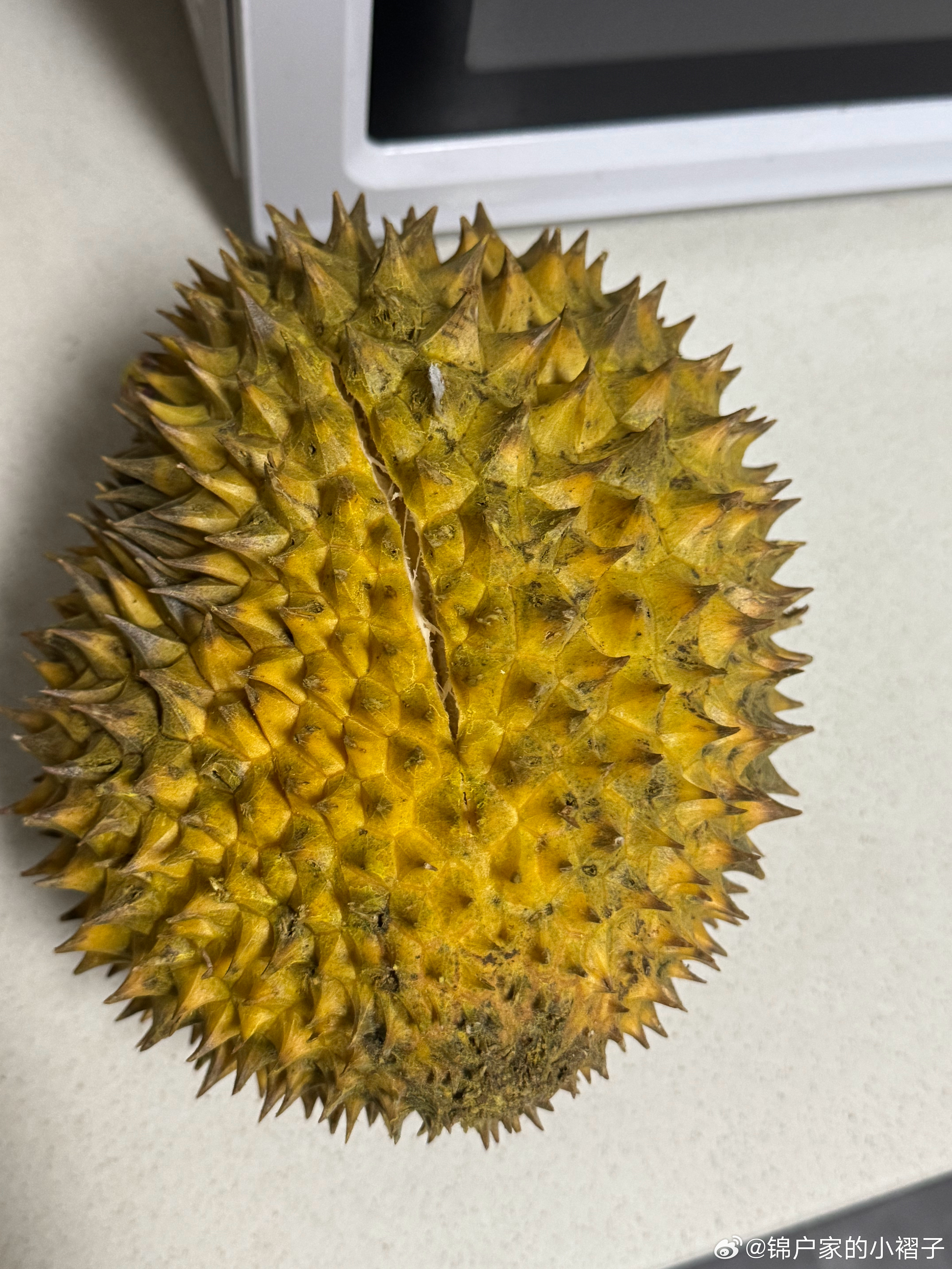 吃蛙锅送了一整个榴莲居然还不错！超甜！ 