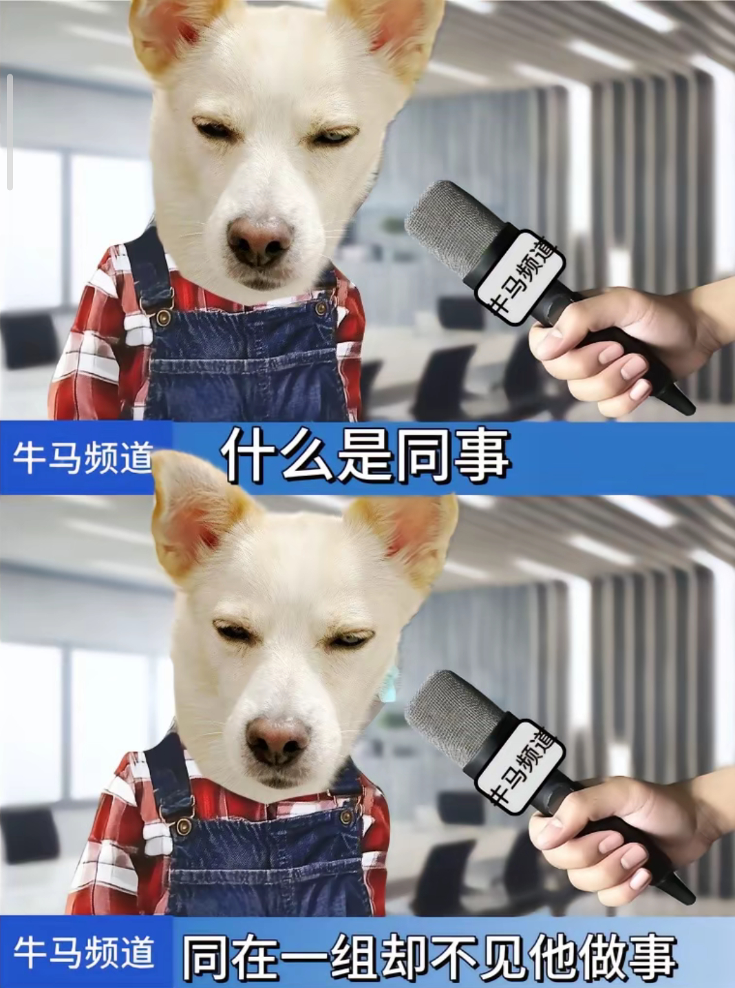 职场现状，太真实了[允悲][允悲][允悲] 