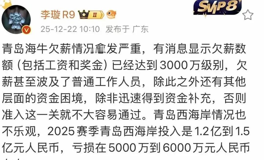 教练团队清空，外援预算翻倍。青岛海牛正在悄悄撕掉自己“小本经营”的标签。
 
财