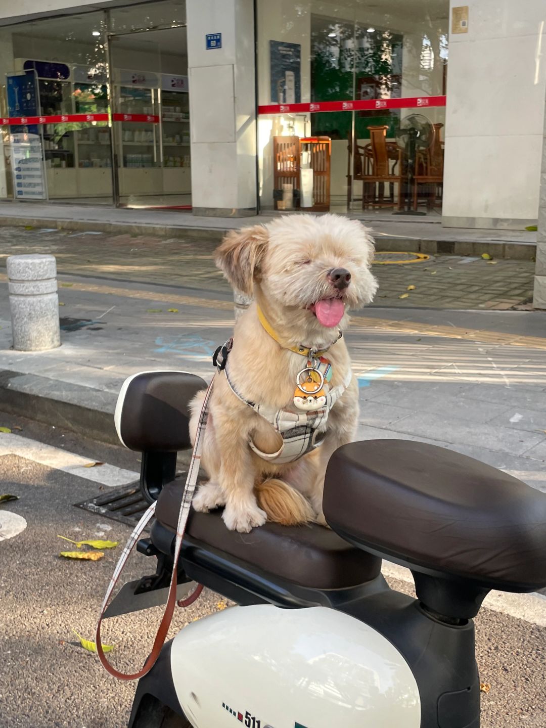 没人认领我拐走啦🛒…
