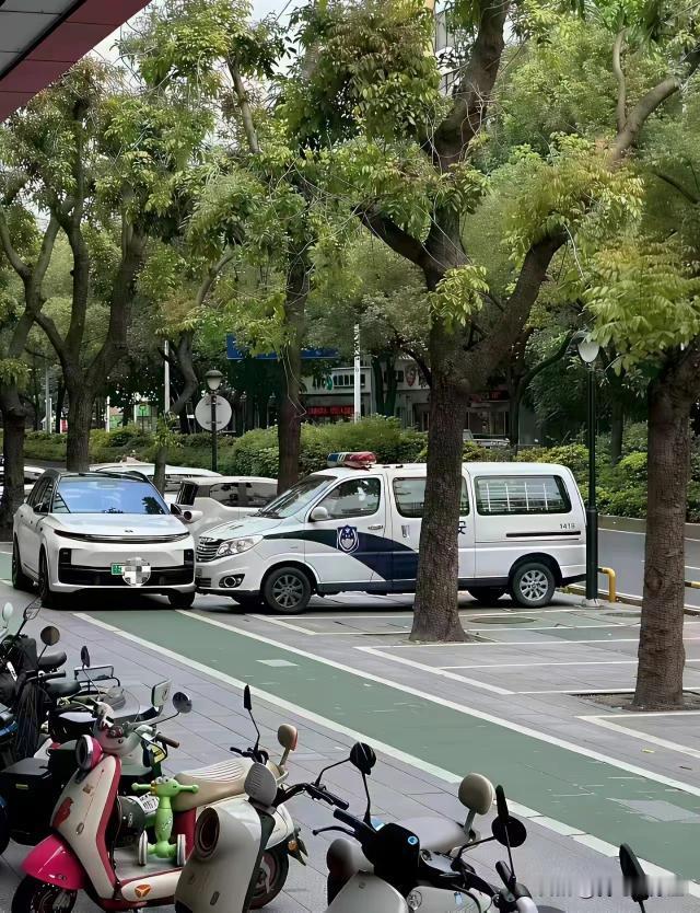 停在这个道上也就罢了，还准确挡在了警车前面，不知道这个车主是怎么想的！